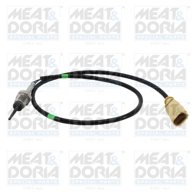 Sensor, exhaust gas temperature